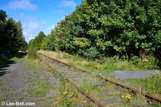 Disused railway between Ashington and New Moor.