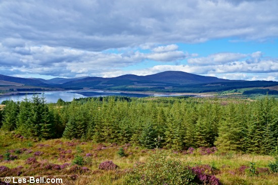View over Clatteringshaws Loch from the forest on Clatteringshaws Fell.
