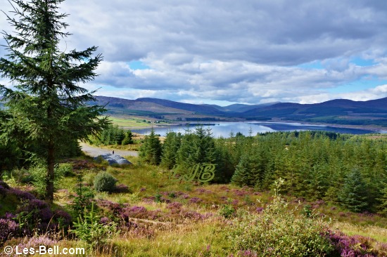 View over Clatteringshaws Loch from the forest on Clatteringshaws Fell.