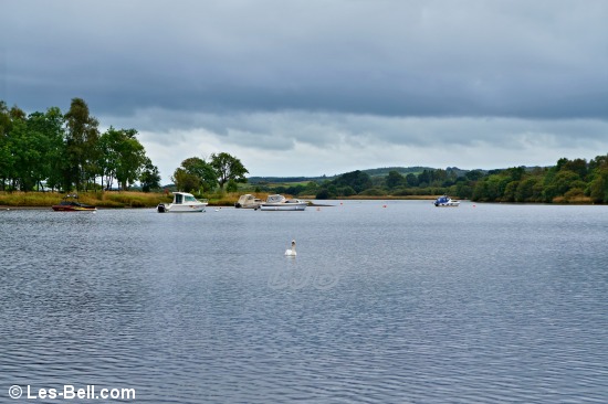 View along Loch Ken.