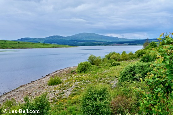 View along the shore of Clatteringshaws Loch near the dam.