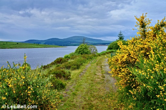 View along the footpath to the dam at Clatteringshaws Loch.