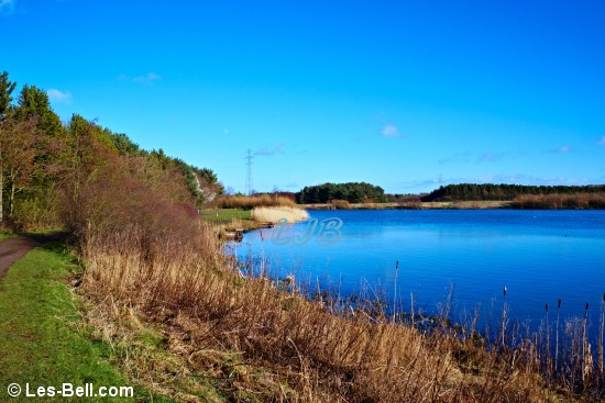 View of the lake at QEII Park, Ashington, Northumberland.