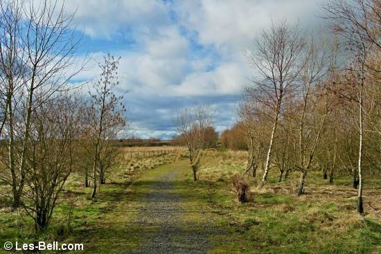 Cloudy afternoon at Pegswood Country Park near Morpeth.