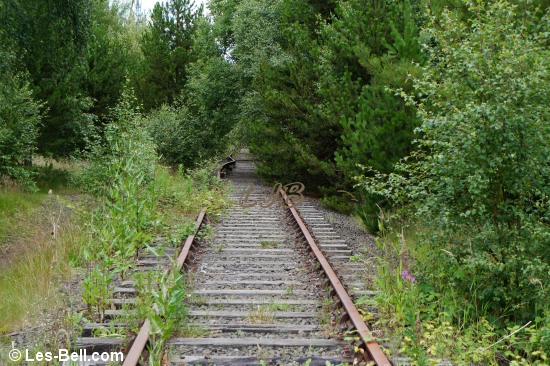 View along the disused railway from Ashington to Linton.