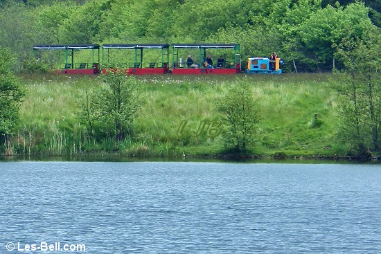 Narrow gauge train from Lakeside Halt to Woodhorn Museum Halt.