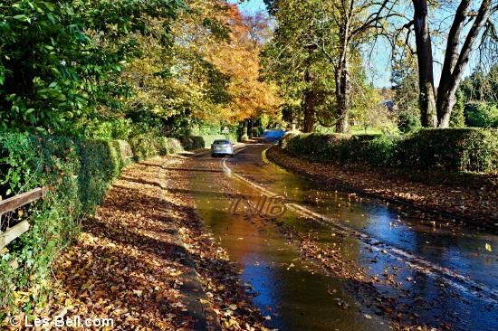 Autumn colours along the road into Bothal Village.
