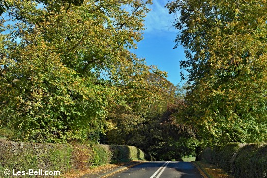 Road to Bothal Village, Northumberland.