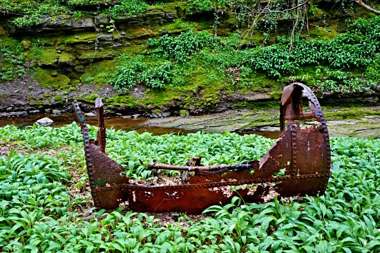 Rusting remains of a machine in Bothal Woods.
