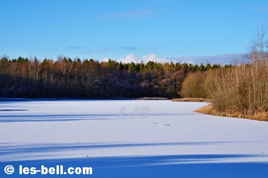 Frozen lake at Haydon Letch in Ashington Community Woods.