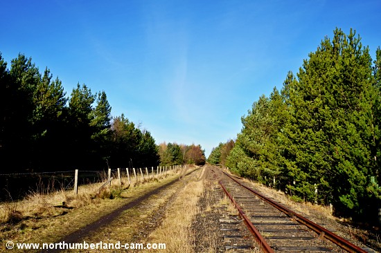 Disused railway between Ashington and Linton.