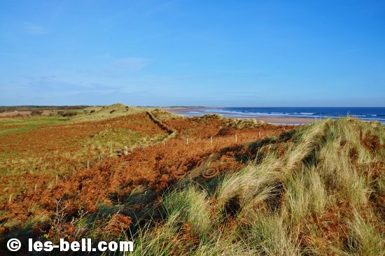 View along the dunes at Druridge Bay on the Northumberland Coast.