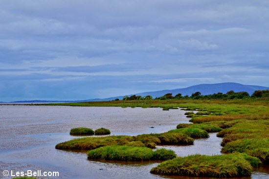 View along the Solway Firth outside the site.