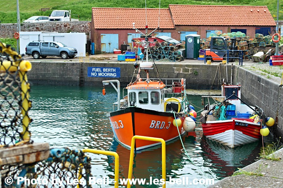 Fishing boats moored in Dunbar harbour the coast at Dunbar, East Lothian, Scotland.