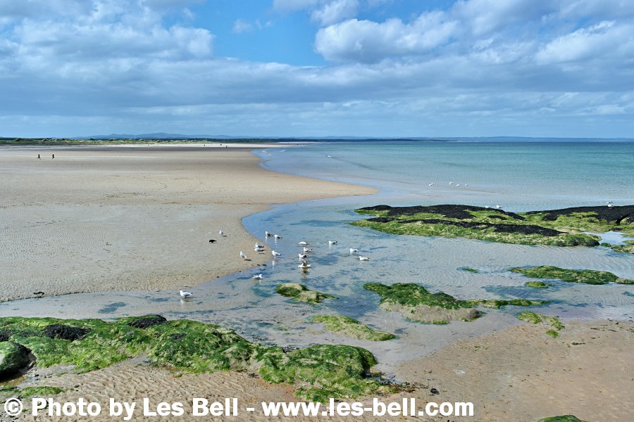 View of the beach at St Andrews, Fife, Scotland.