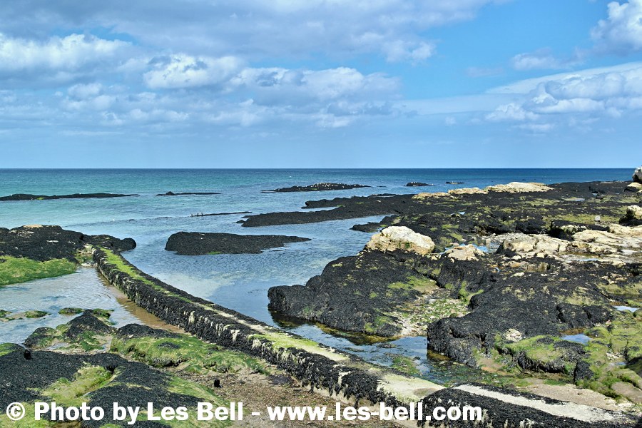 View of the coast at St Andrews, Fife, Scotland.